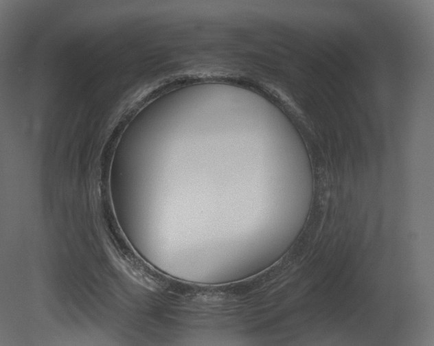 X0000081490631200701121113