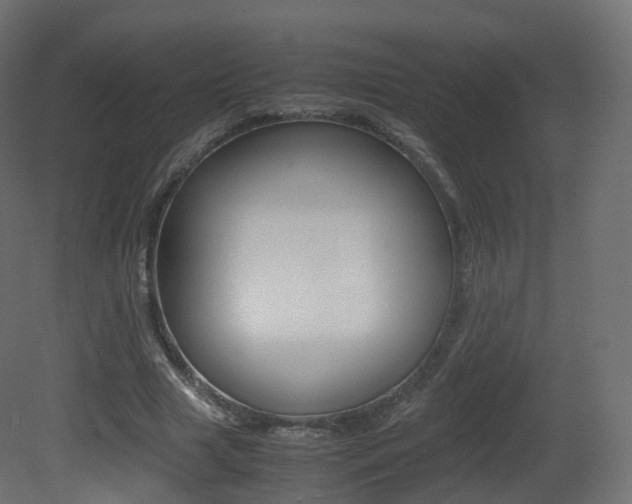 X0000081490633200701121113
