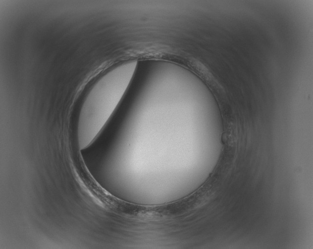 X0000081490634200701121113