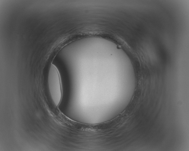 X0000081490635200701121113