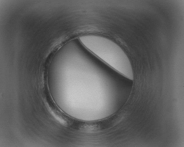 X0000081490638200701121113