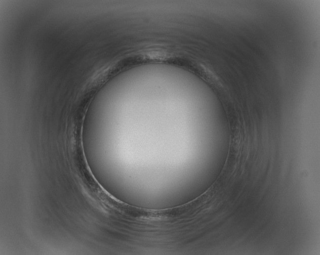 X0000081490639200701121113