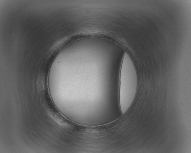 X0000081490640200701121113