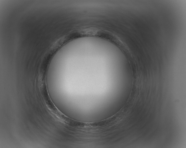 X0000081490641200701121113