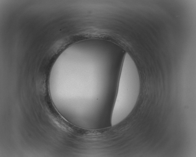 X0000081490642200701121113