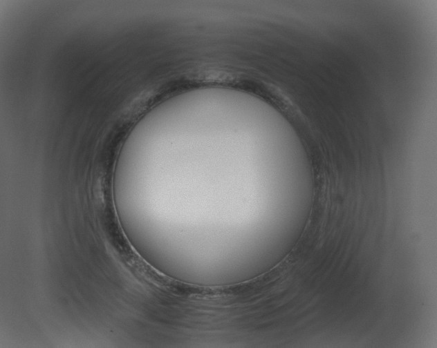 X0000081490643200701121113