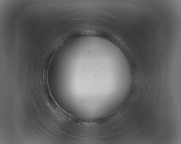 X0000081490645200701121113