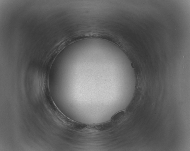 X0000081490648200701121113