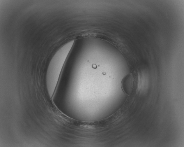 X0000081490649200701121113