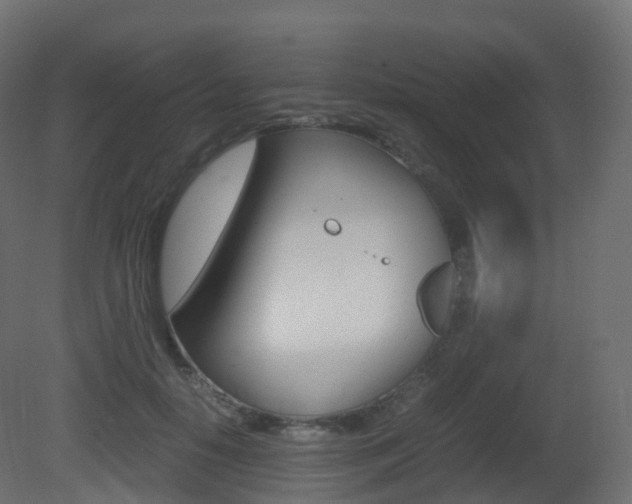 X0000081490650200701121113