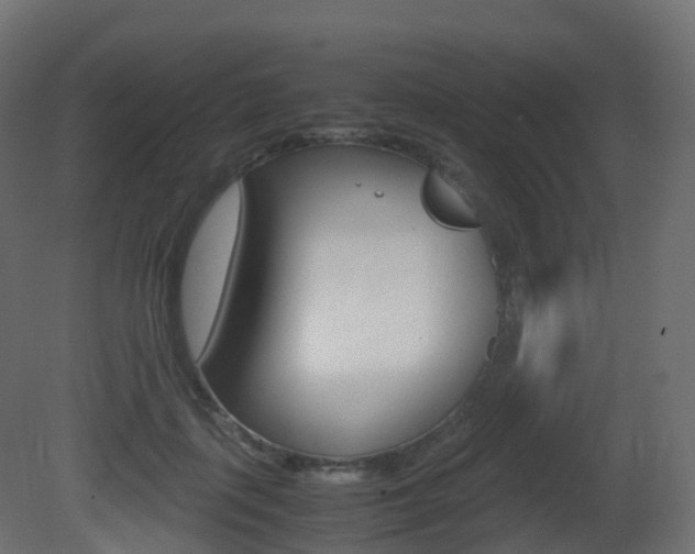X0000081490651200701121113