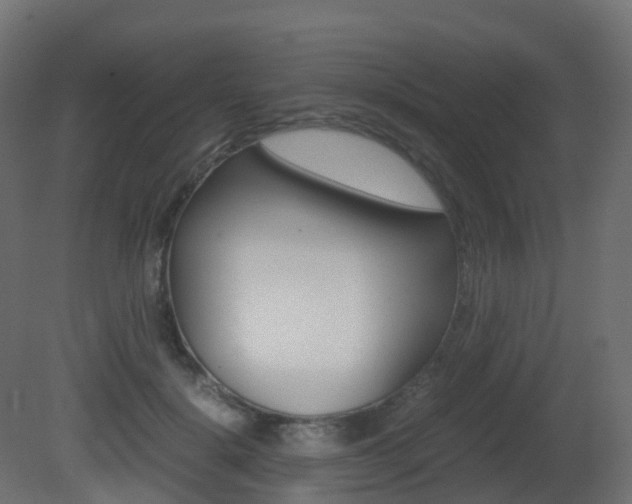 X0000081490652200701121113