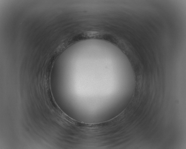 X0000081490653200701121113