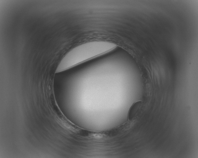 X0000081490654200701121113