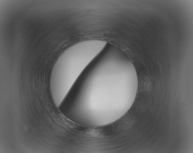 X0000081490656200701121113