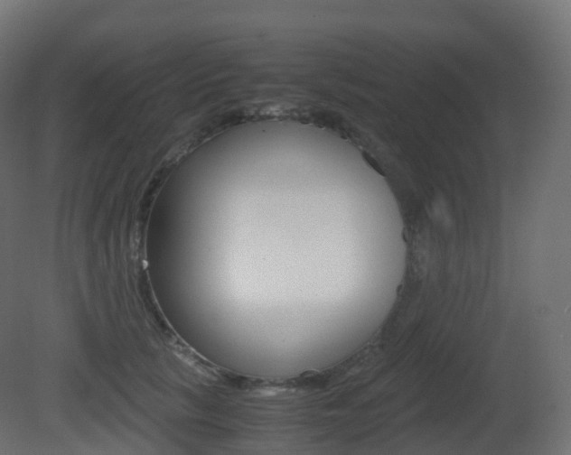 X0000081490657200701121113