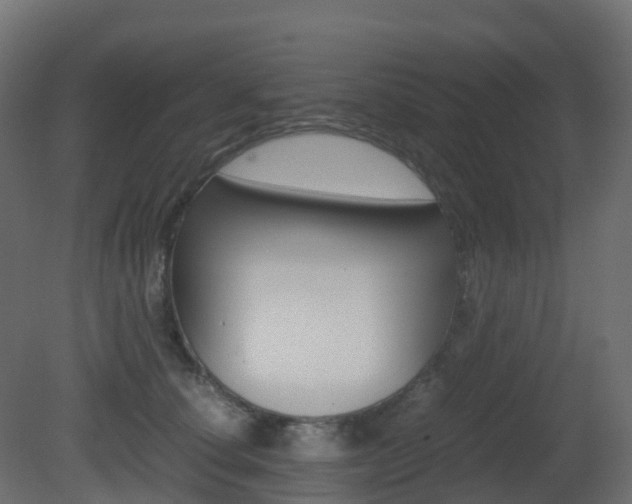 X0000081490660200701121113