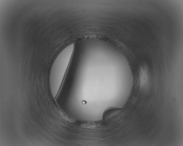 X0000081490661200701121113