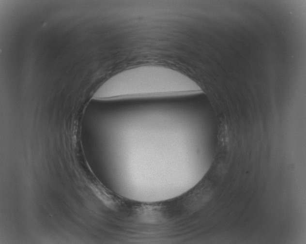 X0000081490664200701121114