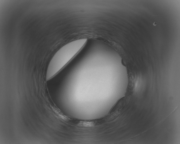 X0000081490665200701121114
