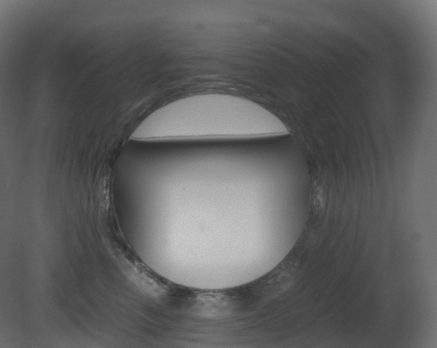 X0000081490666200701121114