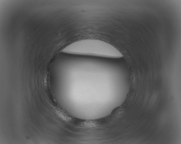 X0000081490668200701121114