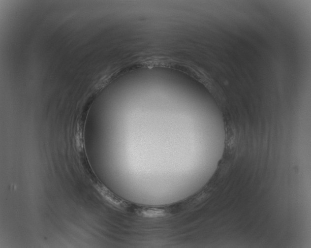 X0000081490669200701121114