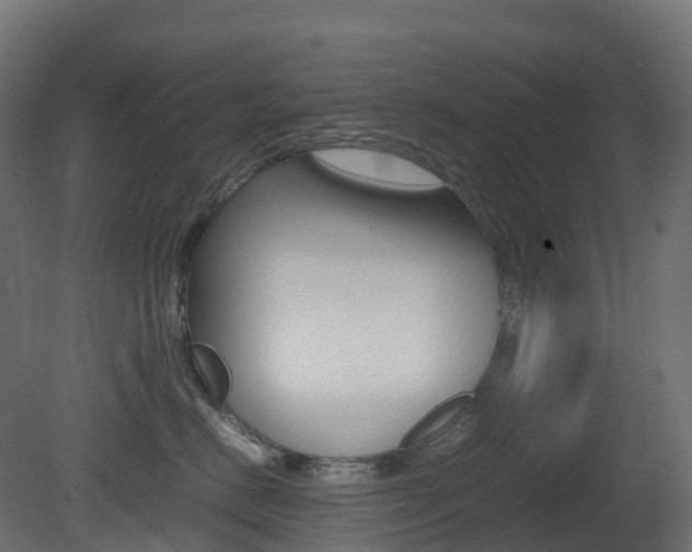 X0000081490670200701121114
