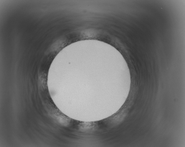 X0000081490672200701121114