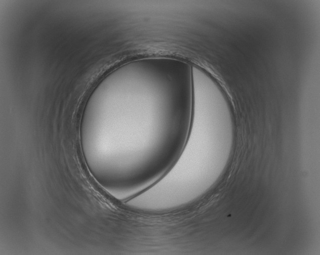 X0000081490673200701121113