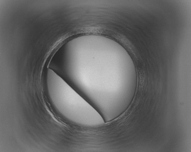 X0000081490674200701121113