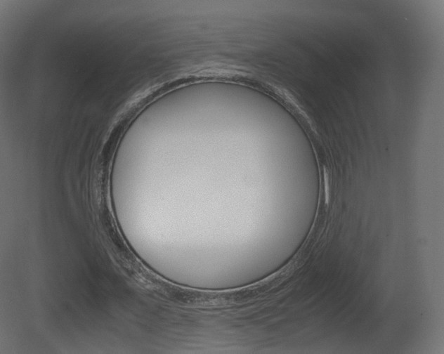 X0000081490675200701121113