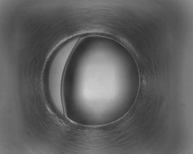 X0000081490676200701121113