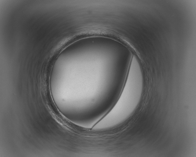 X0000081490677200701121113