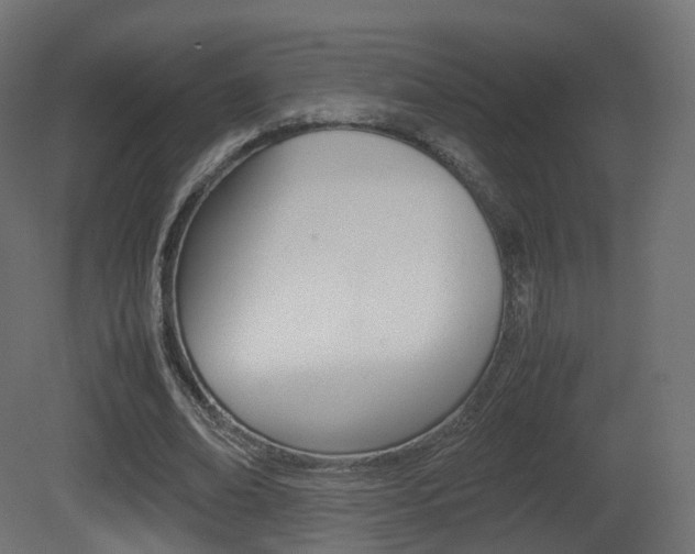X0000081490678200701121113