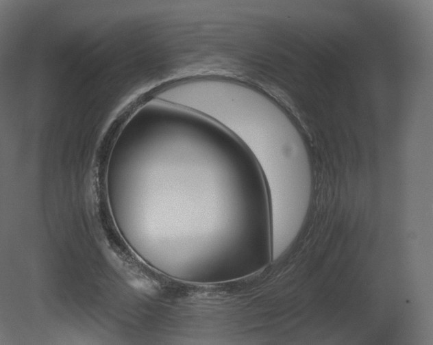 X0000081490680200701121113