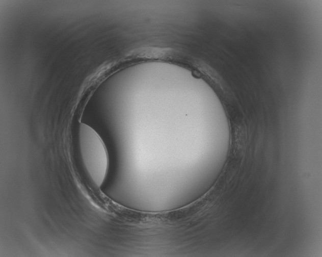 X0000081490682200701121113