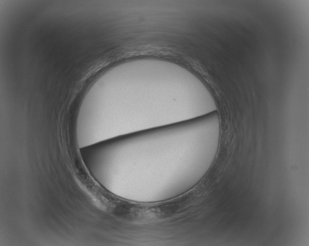 X0000081490683200701121113