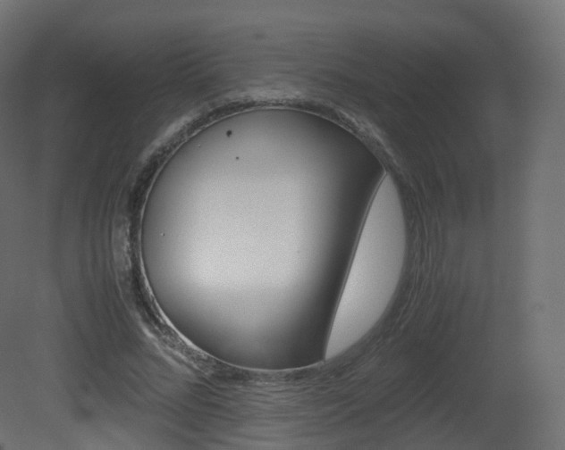 X0000081490684200701121113