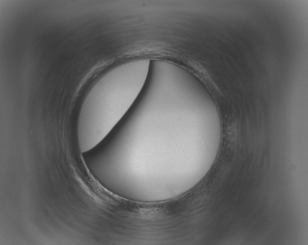 X0000081490686200701121113