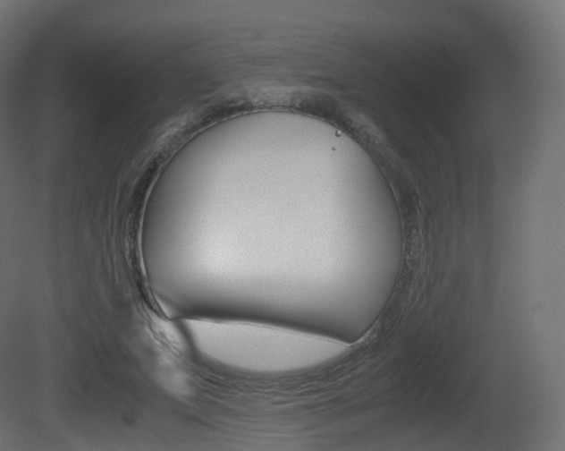 X0000081490687200701121113
