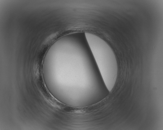 X0000081490692200701121113