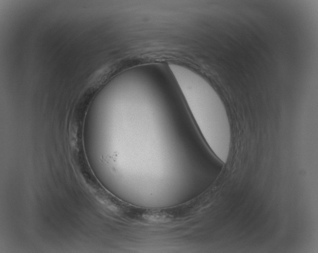X0000081490693200701121112