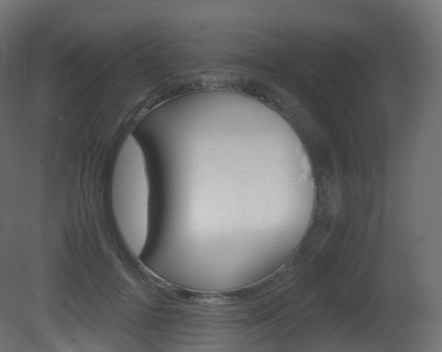 X0000081490698200701121112