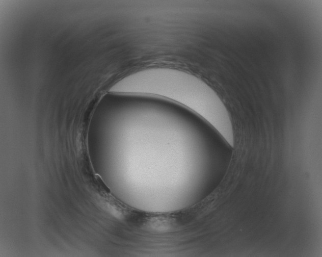 X0000081490708200701121112