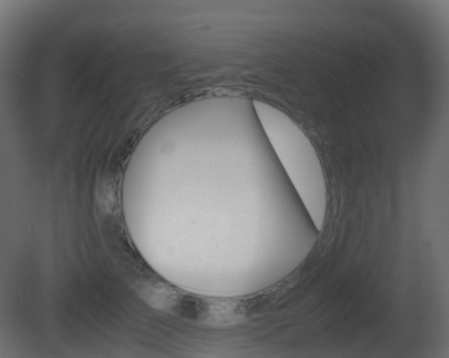 X0000081490709200701121112