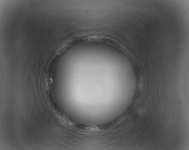 X0000081490715200701121112