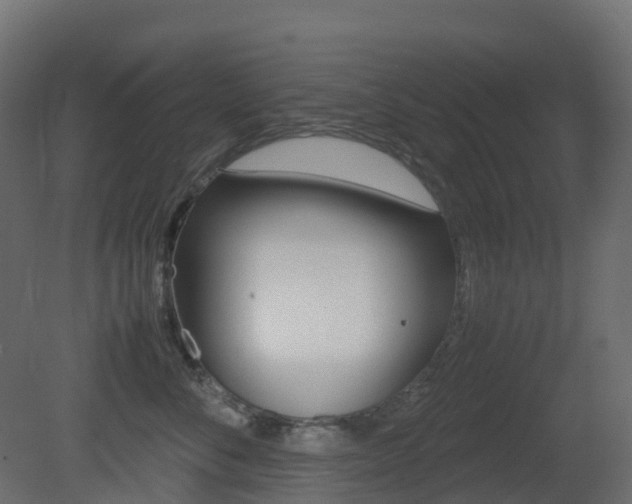 X0000081490716200701121112