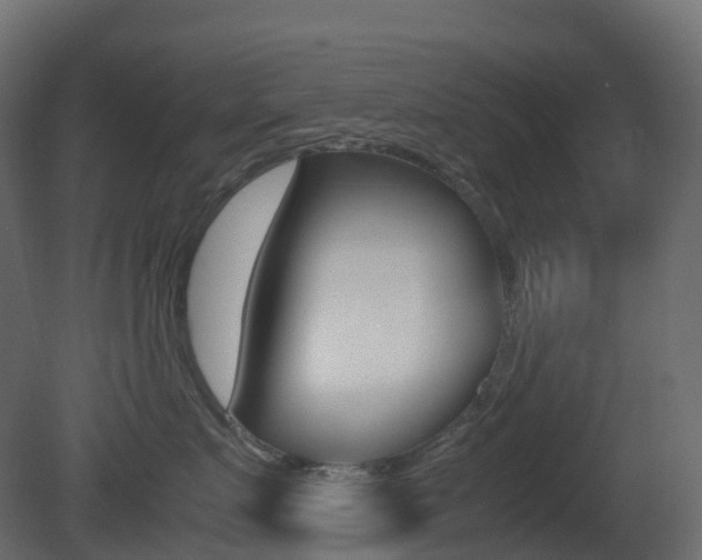 X0000081490719200701121112