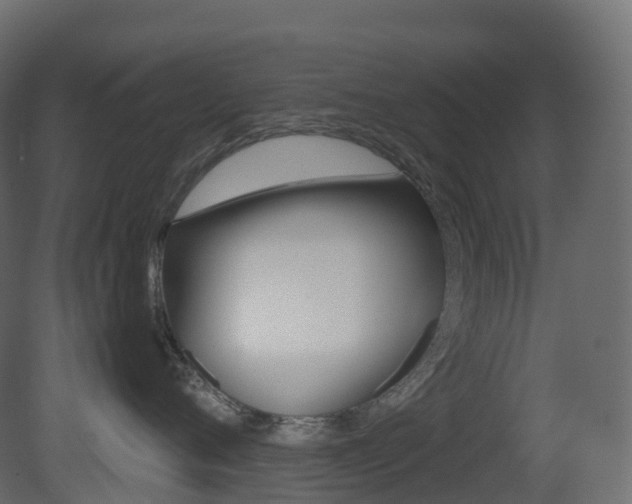 X0000081490720200701121112